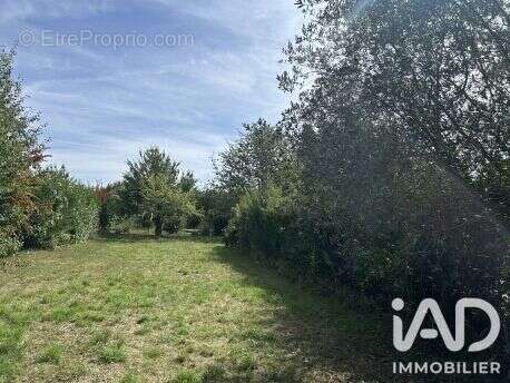 Terrain 468 m² à Saintry-Sur-Seine  - photo 2