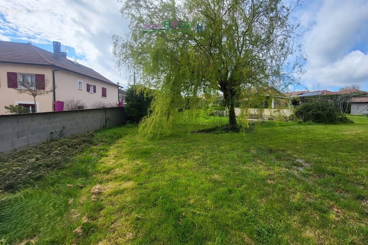 n°1 - Terrain à MOISSIEU-SUR-DOLON