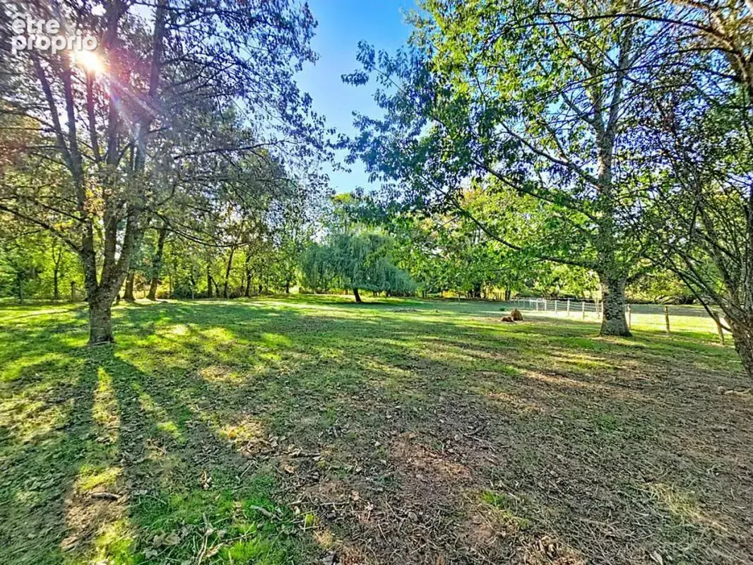 Maison 9 pièces 310 m² à vendre à Surin (79220) - photo 3