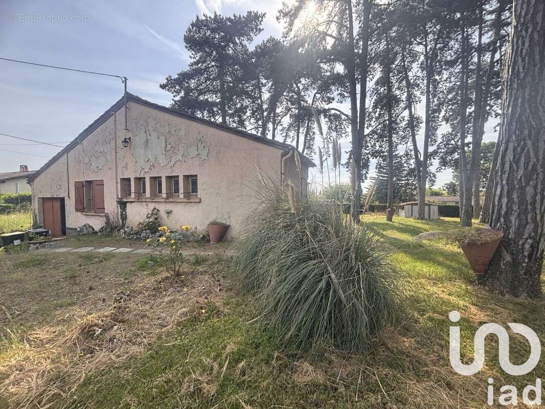 Photo 4 - Maison à TOURNUS