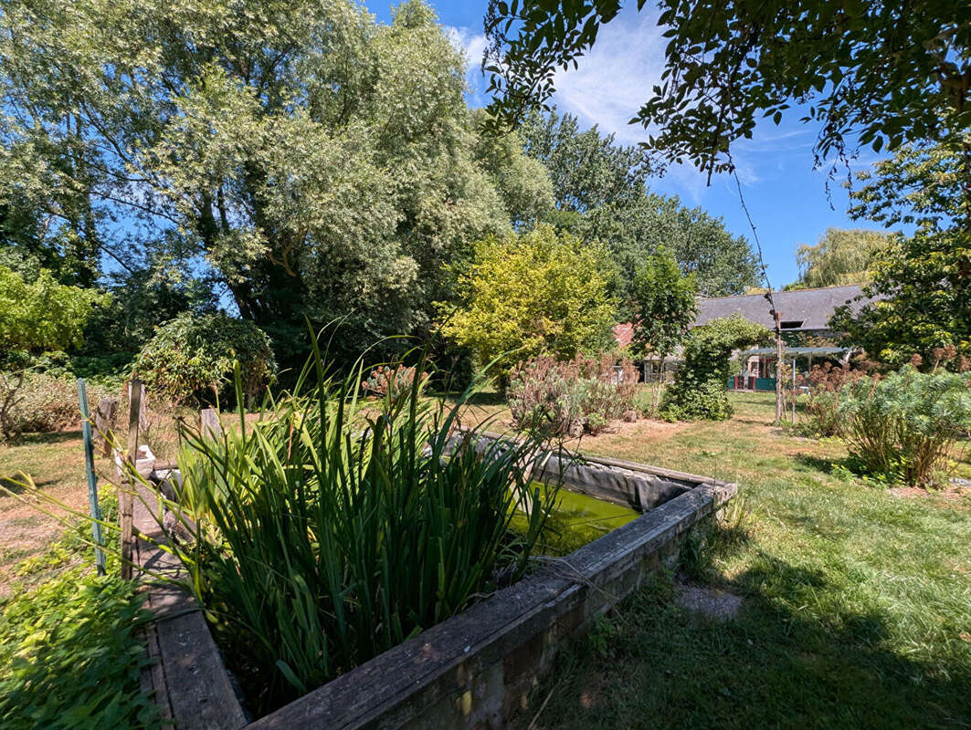 Longère en pierre à vendre au Mont-Dol  5 chambres  Dépendances  Terrain arboré de 7 000 m² - photo 18