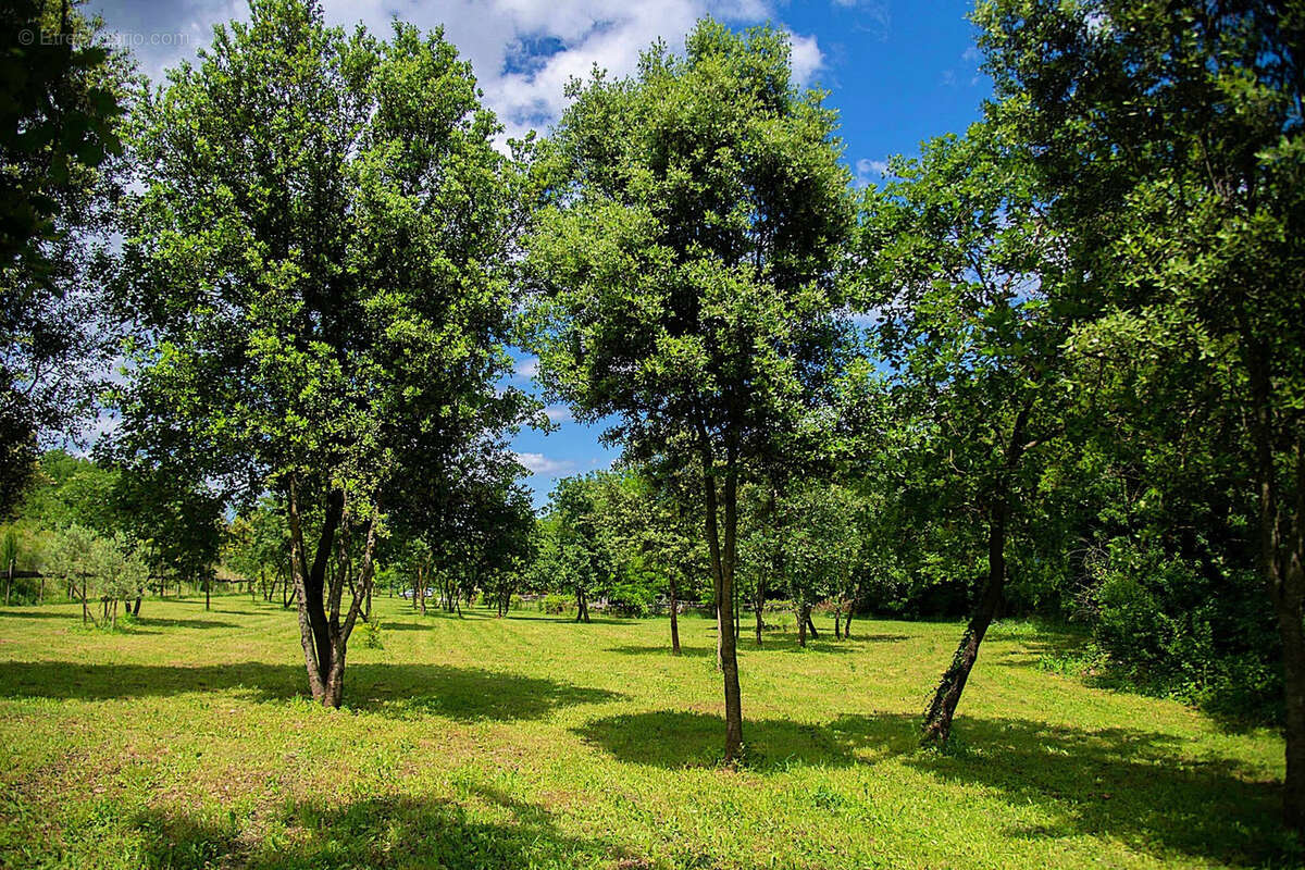 Maison à GOUDARGUES