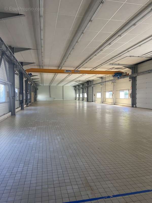 Vente local d'activité - stockage et bureau de 239 m² à 474 m² - photo 8