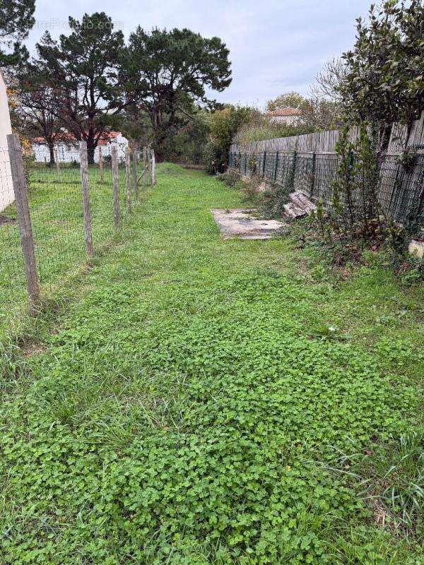 Dept 17 - Saint Georges d'Oléron - Terrain Constructible 784 m² - photo 4