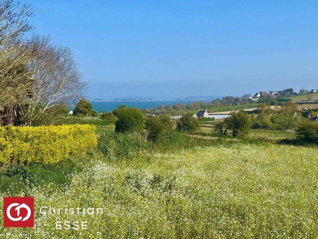 Terrain à SAINT-POL-DE-LEON