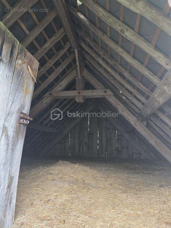 Bâtiment de stockage et terrain de 500m2 - photo 4