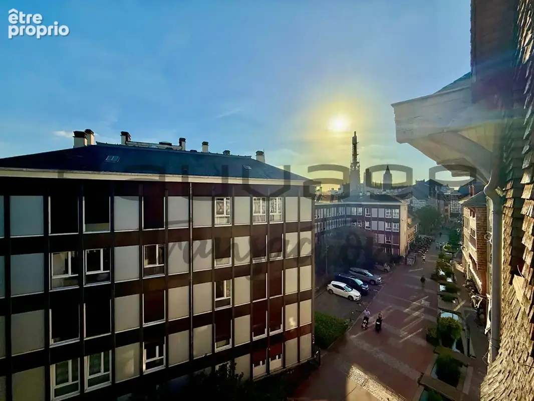 Rouen centre - eau de robec - photo 11