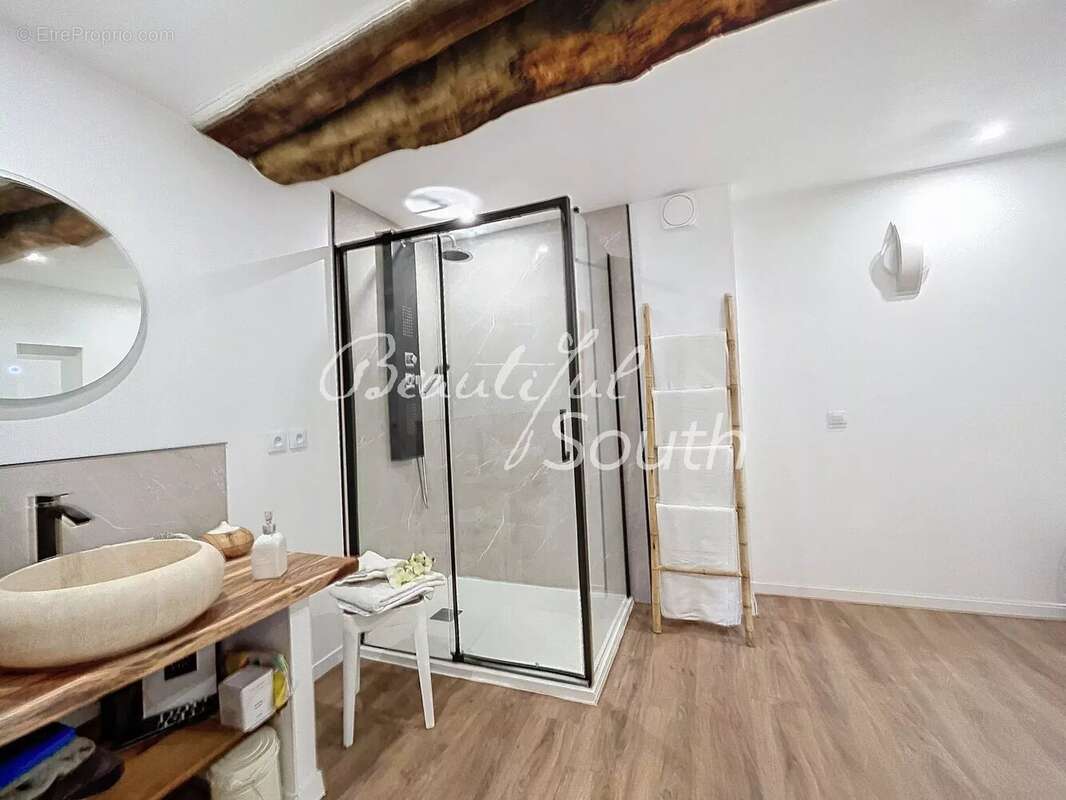 Mas de caractere avec piscine et gite en activite, montesquieu des alberes - photo 12
