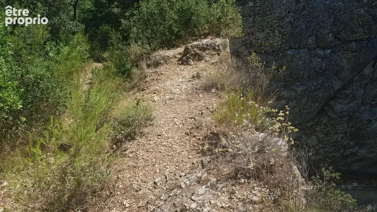 Exclusivite - terrain a vendre - la roque d'antheron - foret - photo 9
