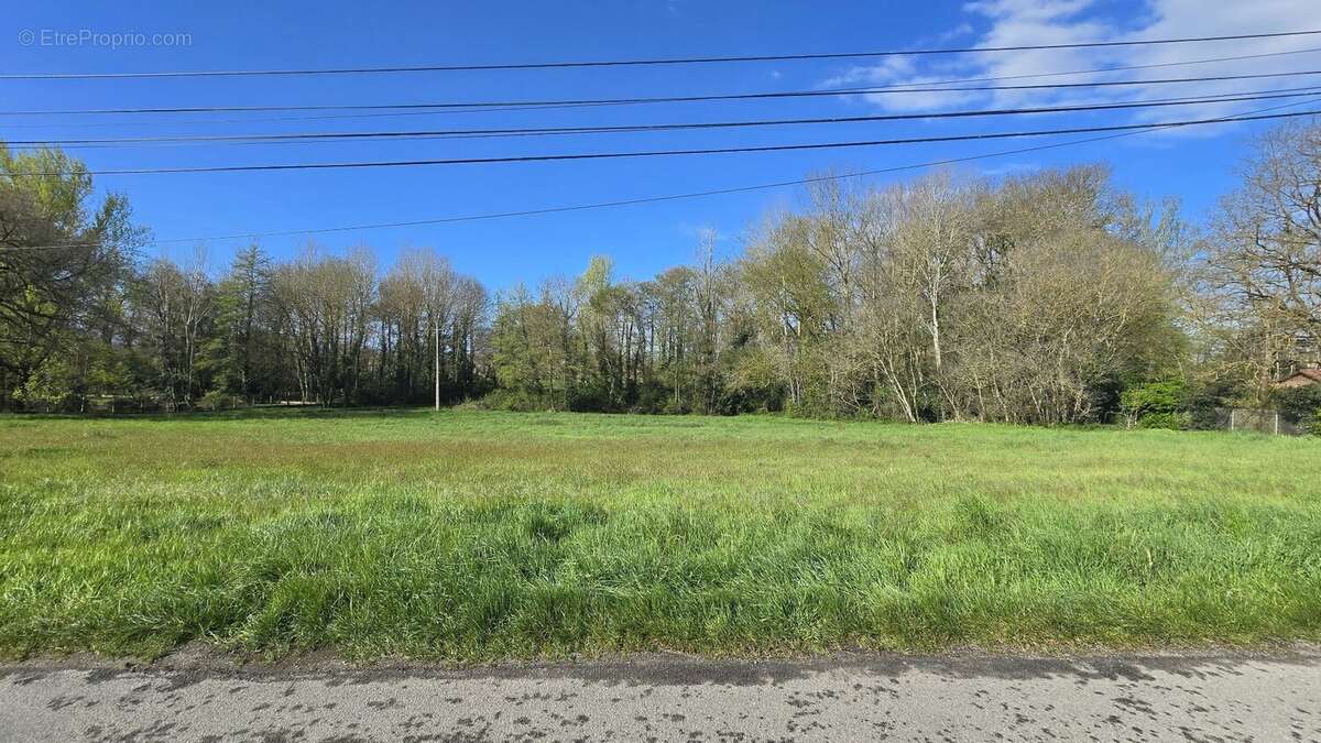 Terrain à CINTEGABELLE