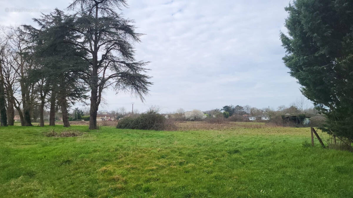 Terrain à MENESPLET