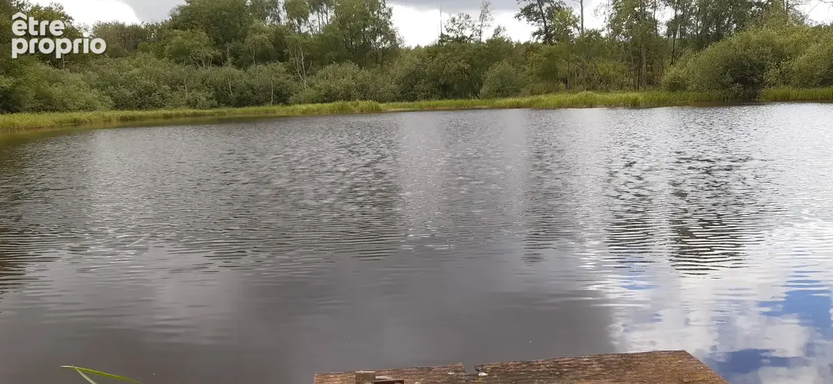 Etang vidangeable 1 ha avec abri pêche - photo 7