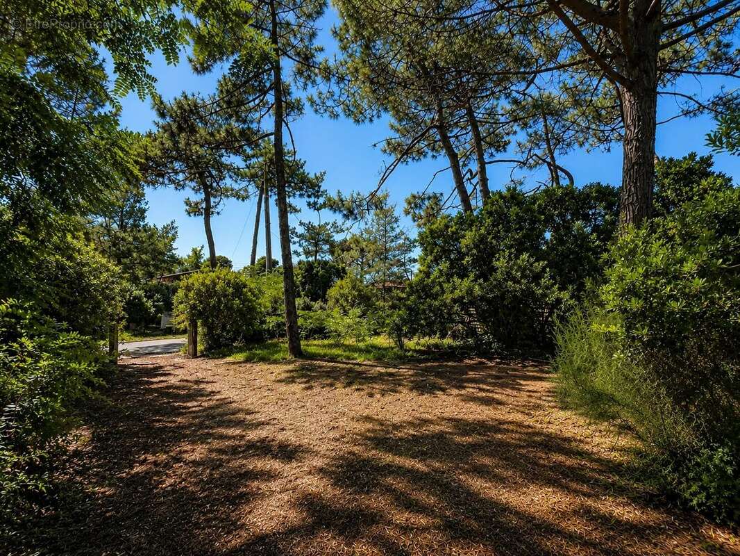 Maison à LEGE-CAP-FERRET