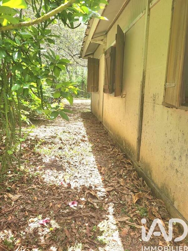 Photo 8 - Maison à PORT-LOUIS