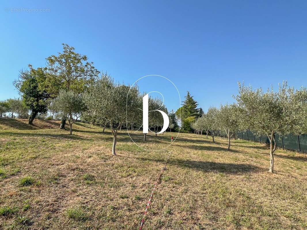 Terrain à BARJAC