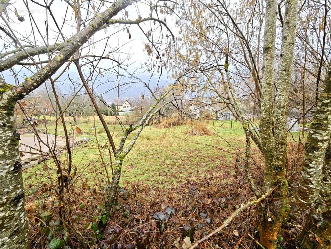 Terrain à SAULXURES-SUR-MOSELOTTE