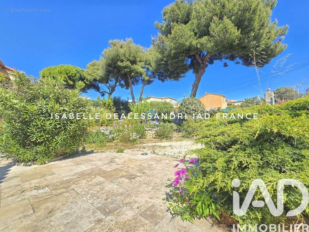 Photo 2 - Terrain à BANDOL