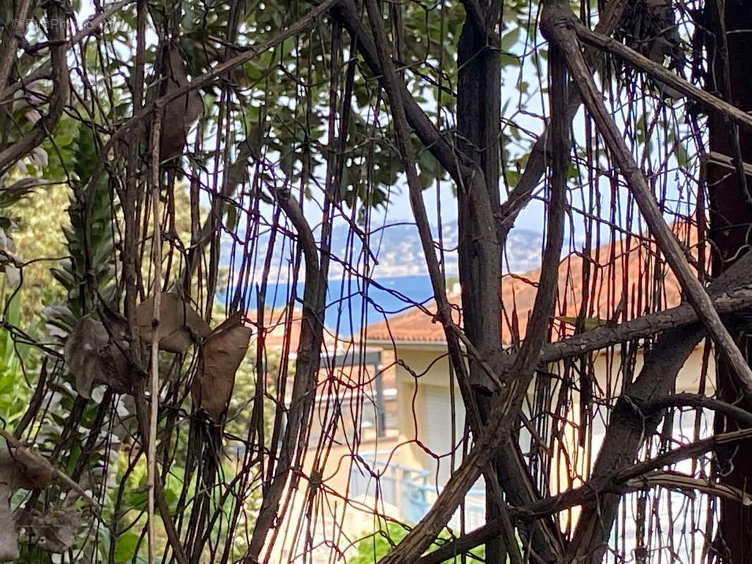 Maison à THEOULE-SUR-MER