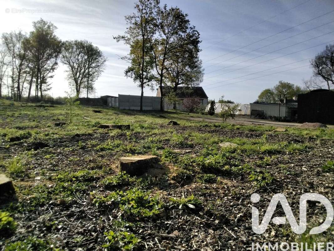 Terrain 550 m² à Verrie  - photo 5