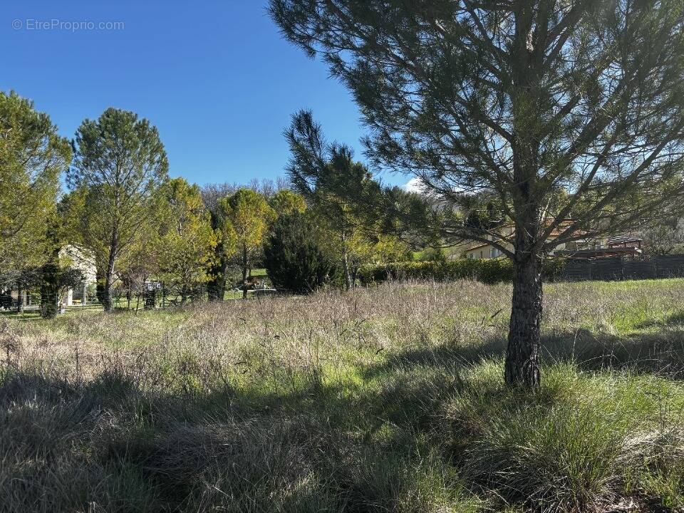 Terrain à SAINT-JEAN-DE-MARUEJOLS-ET-AVEJAN