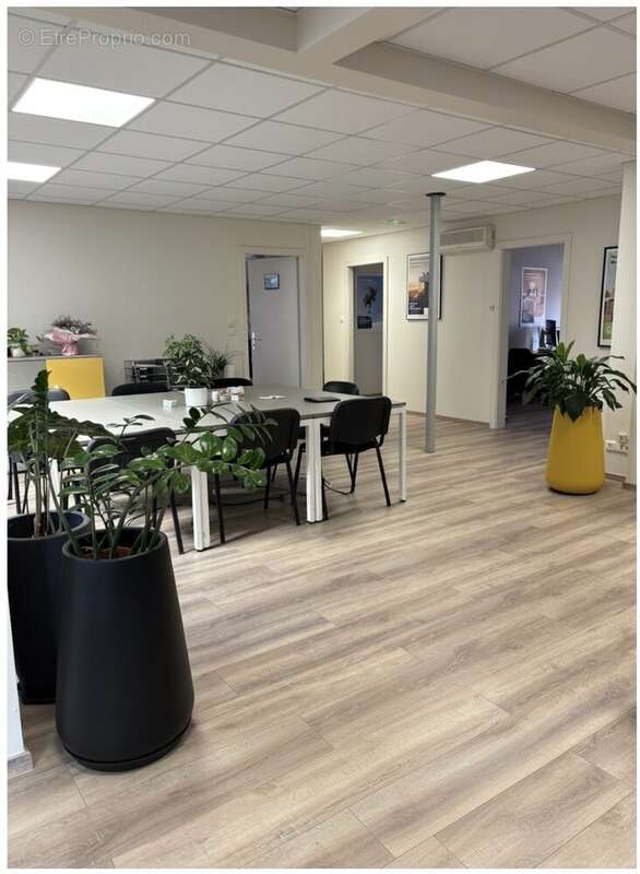 Commerce 325 m² à Oberhausbergen  - photo 2