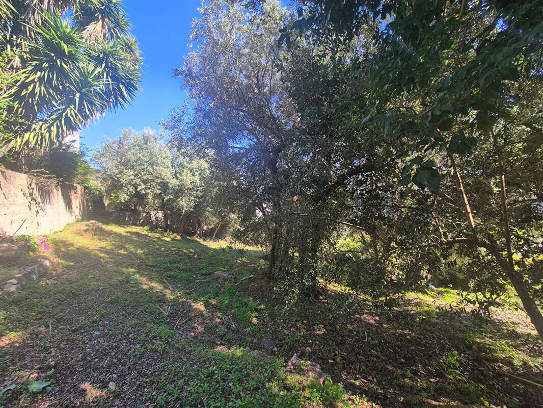 Maison à SANTA-MARIA-DI-LOTA