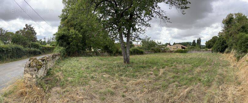 Terrain à CELLES-SUR-BELLE