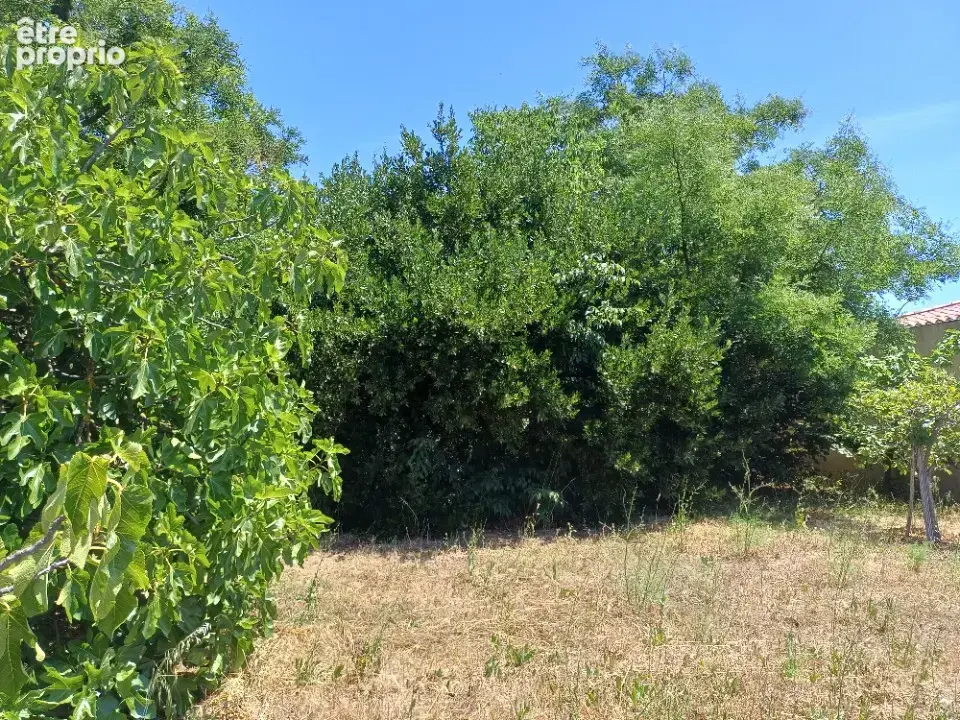 Terrain 405 m² à La Crau  - photo 3