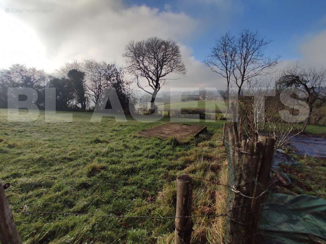 IMG_20241227_142041 - Maison à BAIS