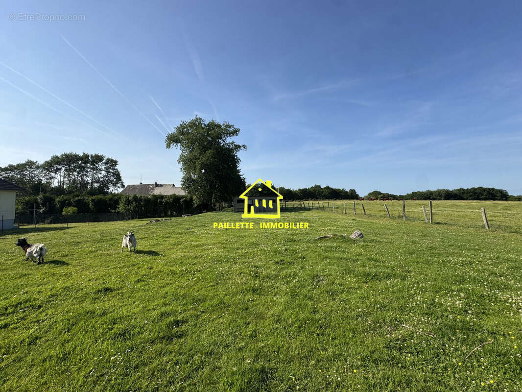 Maison à SAINT-EUSTACHE-LA-FORET