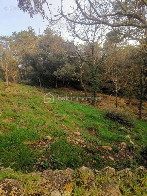 Maison à BROUZET-LES-ALES