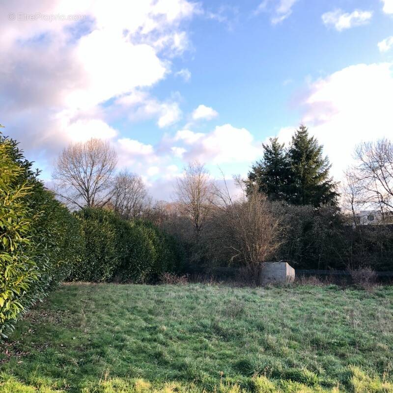 Terrain à TELOCHE