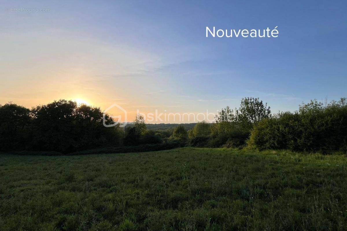 Terrain à CHATRES