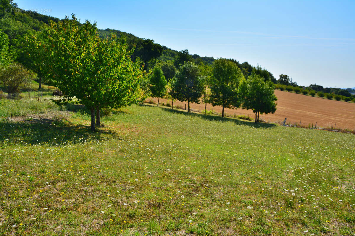 Maison à LAGARRIGUE