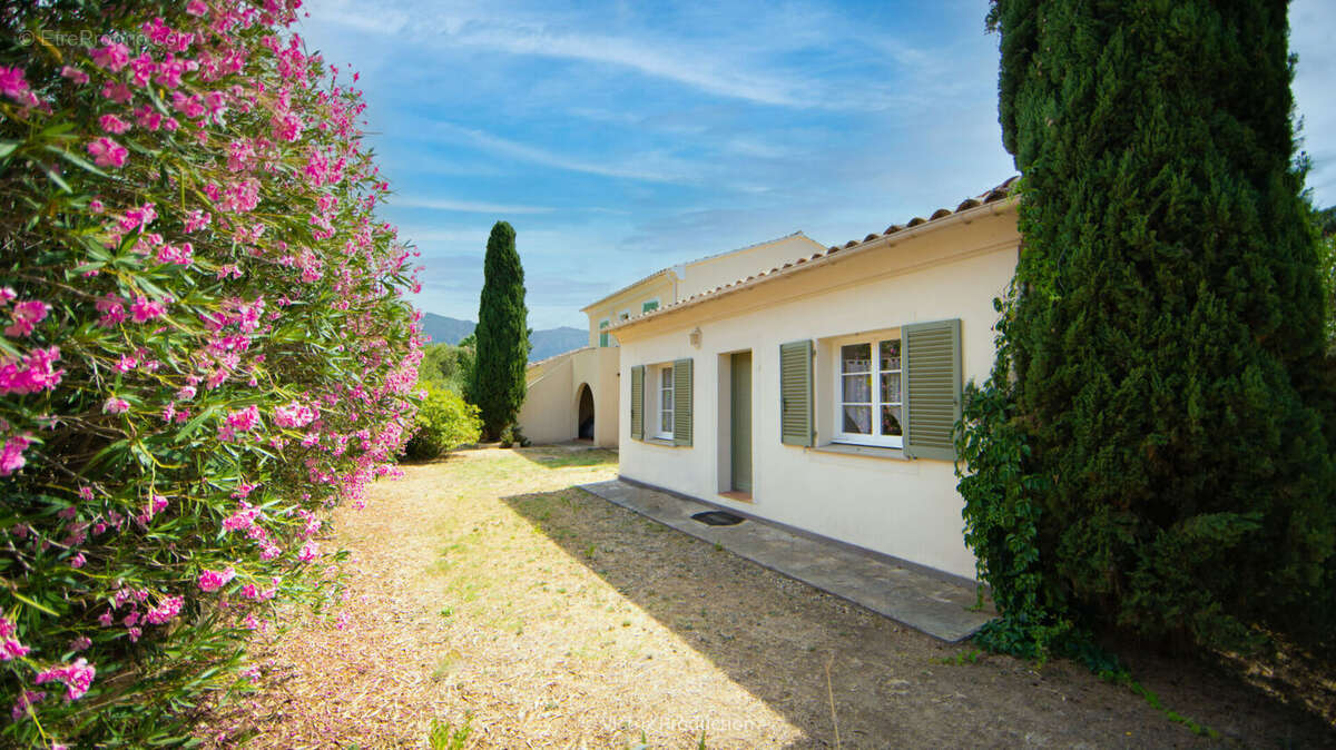 Demeure de prestige Oletta 15 pièces 281 m2, piscine, terrain 7500 m2 - photo 3