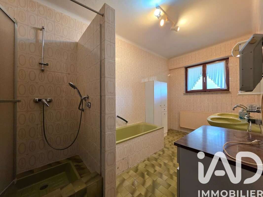 Maison 165 m² à Henriville  - photo 3