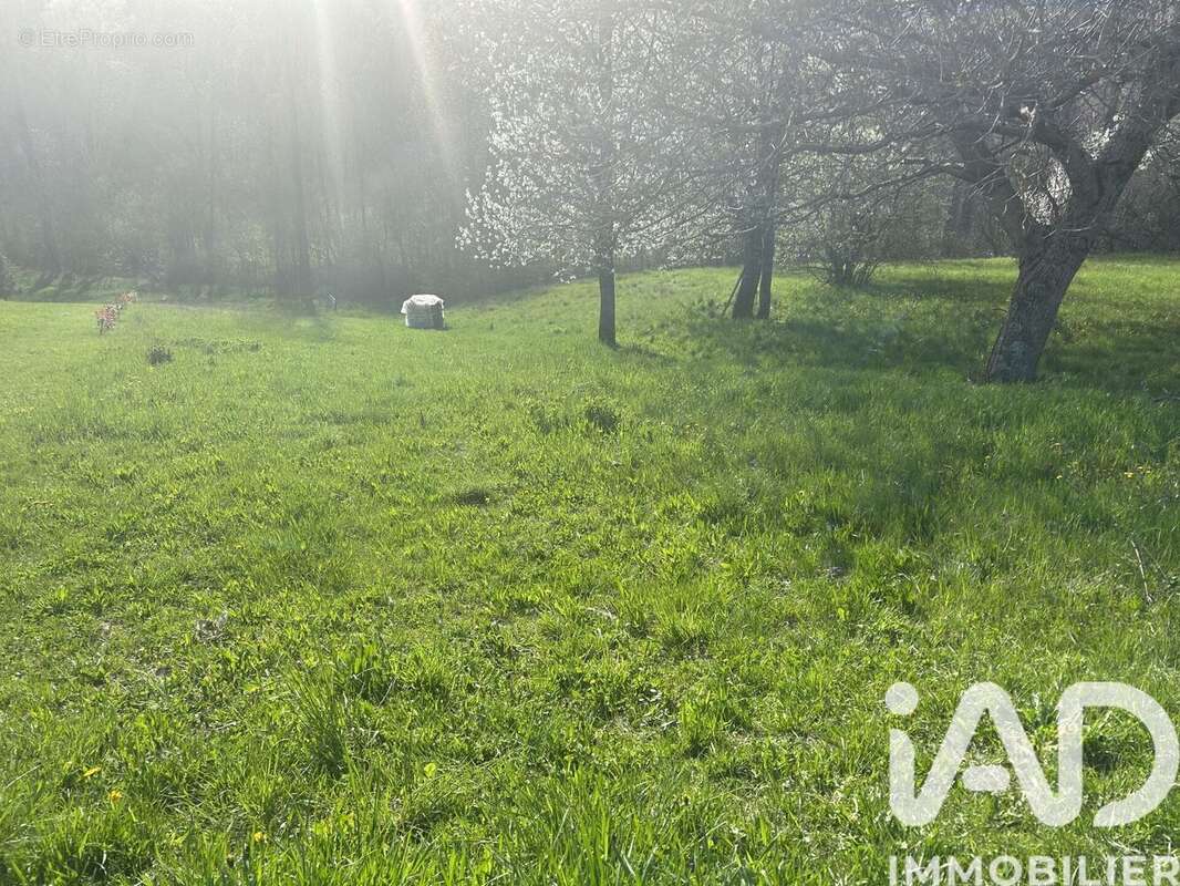 Photo 3 - Terrain à MORIEZ