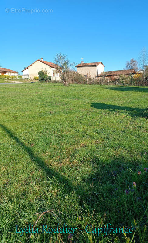 Terrain à PUY-GUILLAUME