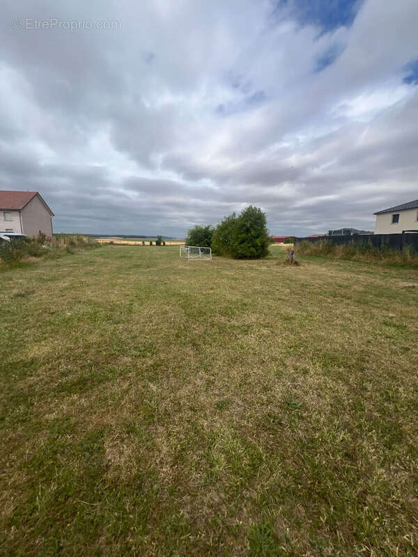 Terrain à LA VILLE-AUX-BOIS-LES-PONTAVERT