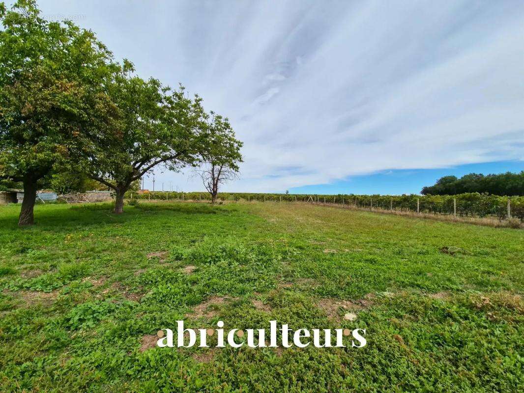 Maison à BRIE-SOUS-MATHA