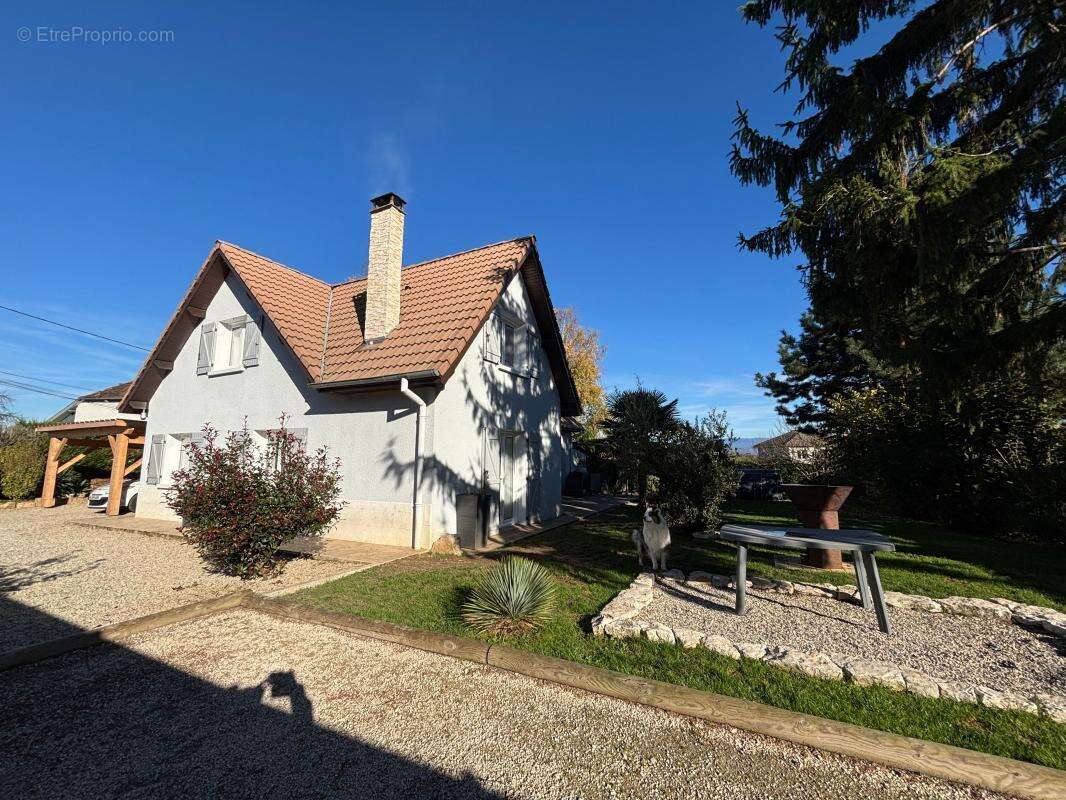 Maison à VEZERONCE-CURTIN