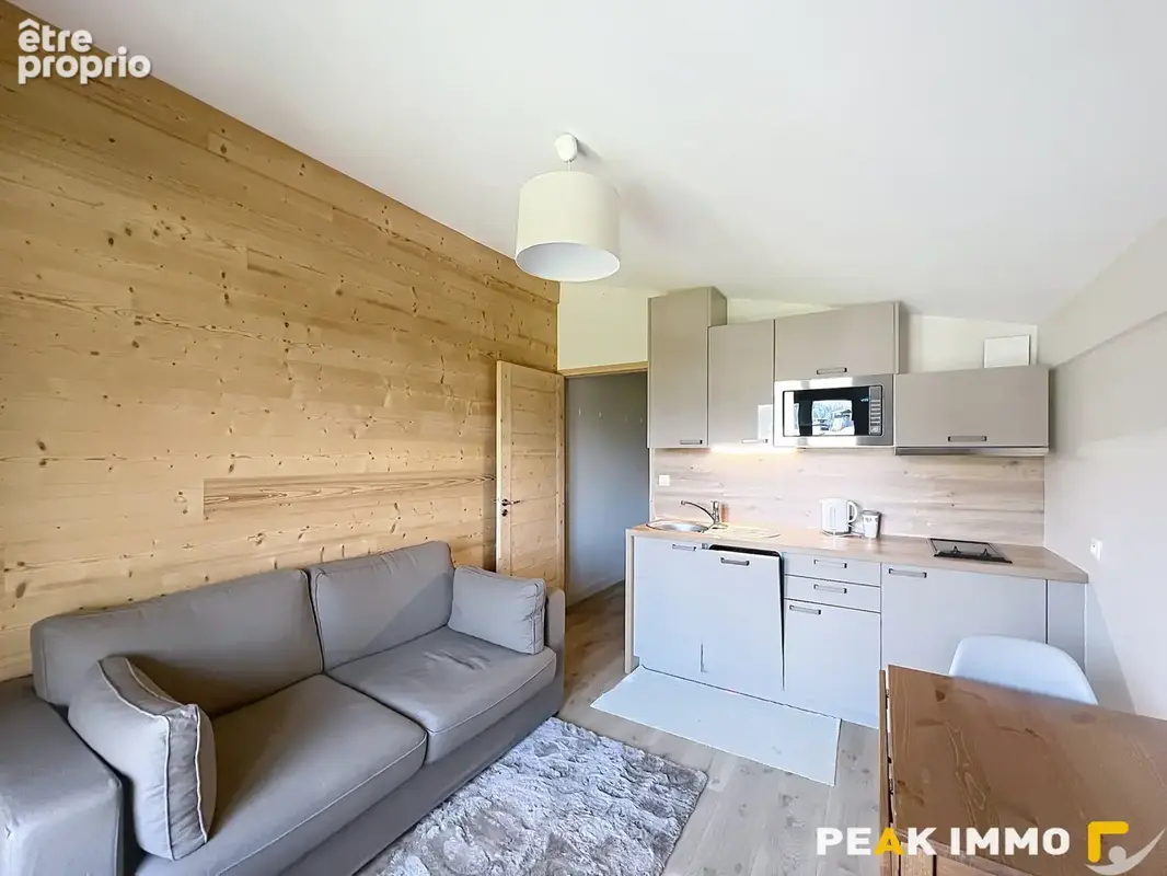 Appartement 2 pièces Demi-Quartier Secteur Ormaret - photo 2