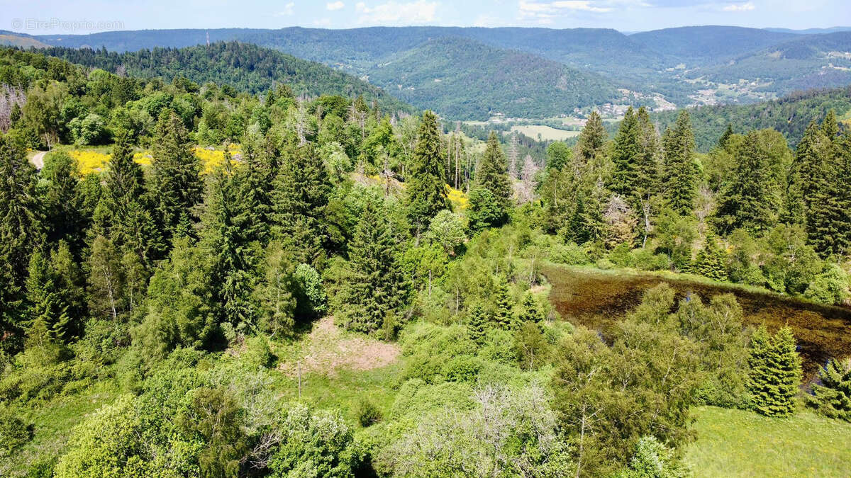 Maison à RAMONCHAMP