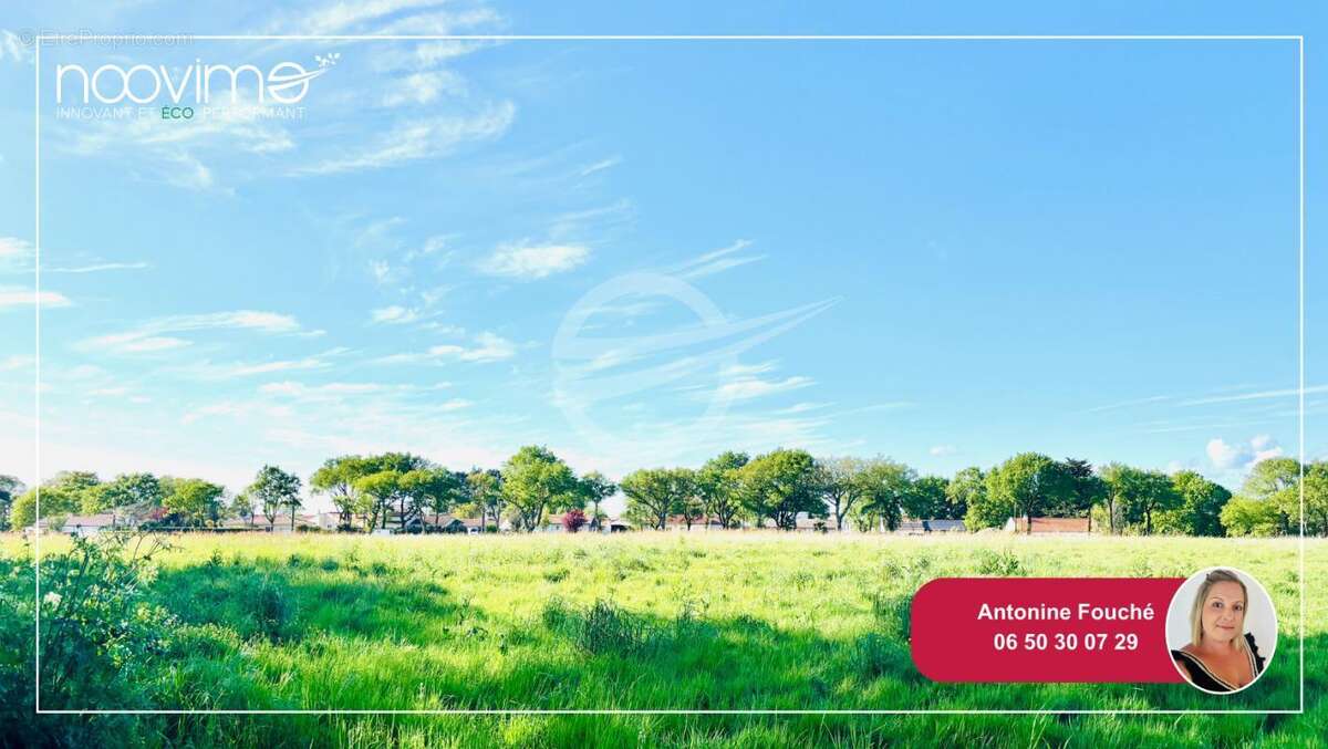 Terrain à SAINT-PERE-EN-RETZ