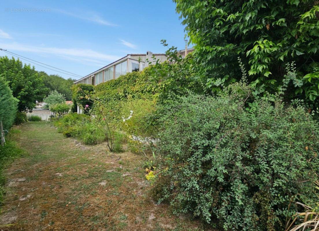 Maison à VIANNE