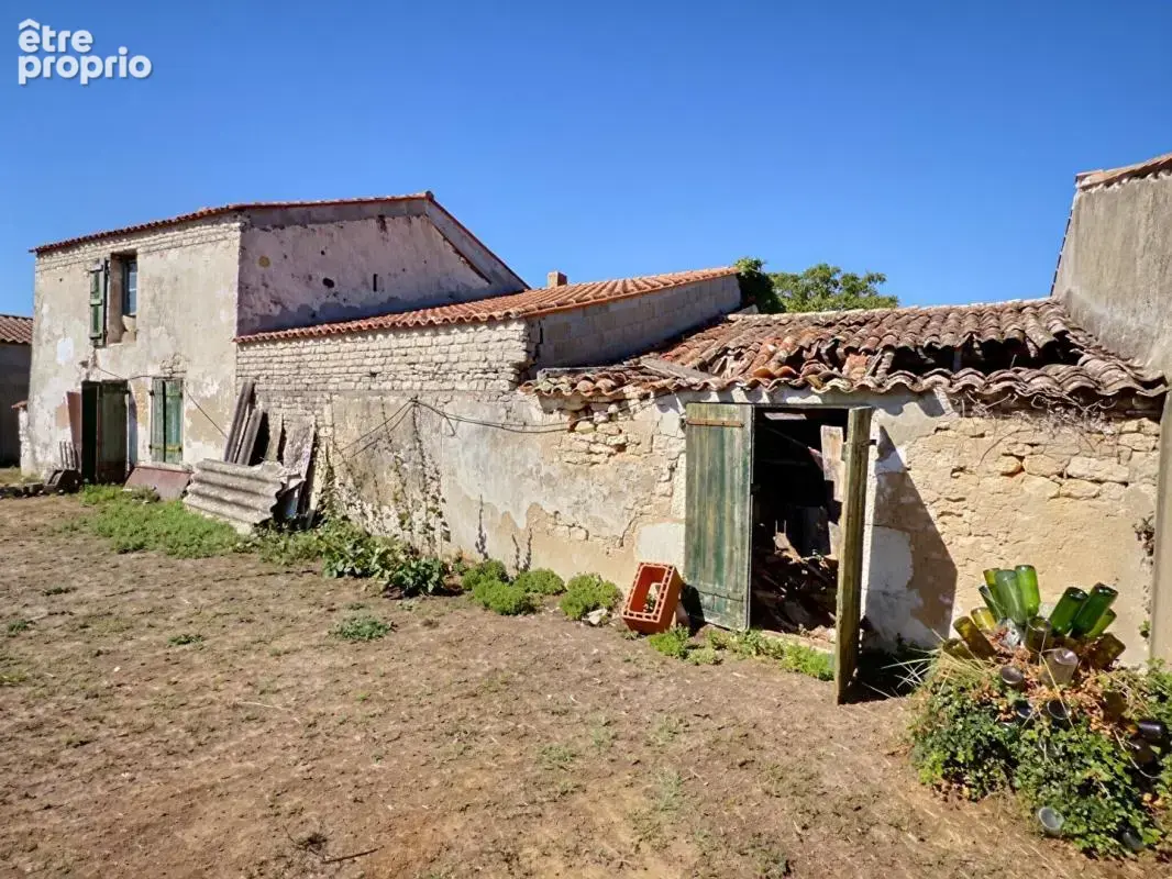 - 17550 - Maison 5 pièce(s) 85 m2 + dépendances - Dolus d'Oléron - - photo 4