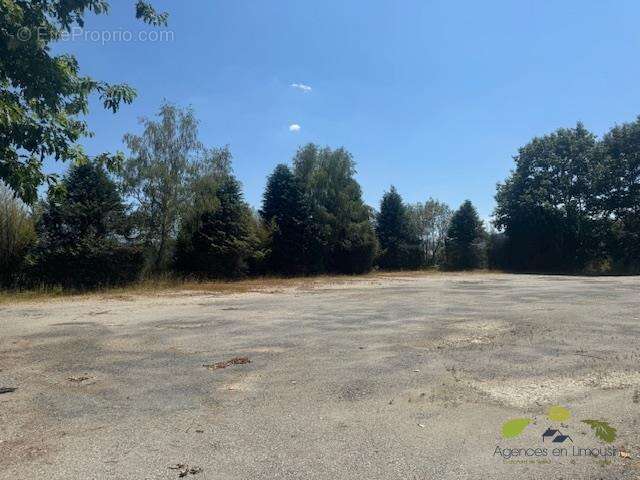 Appartement 560 m² à Treignac  - photo 2