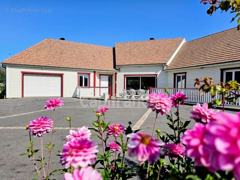 Maison à FRIVILLE-ESCARBOTIN