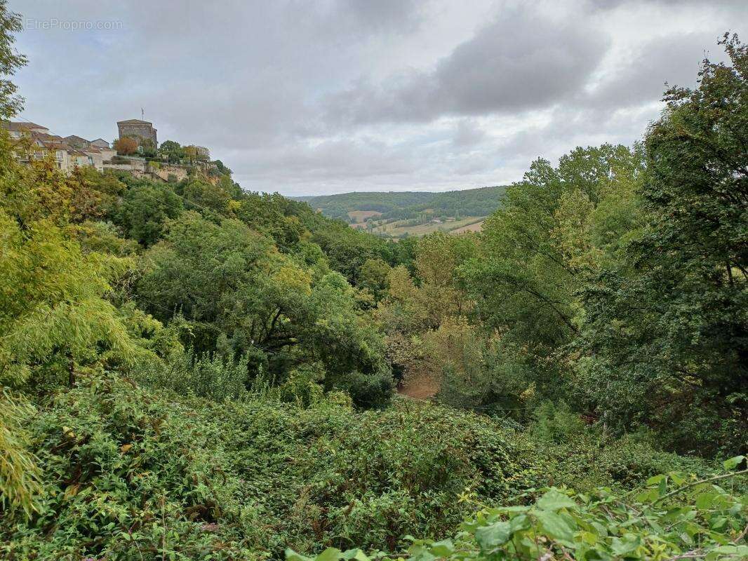 Maison en pierre de village - photo 7