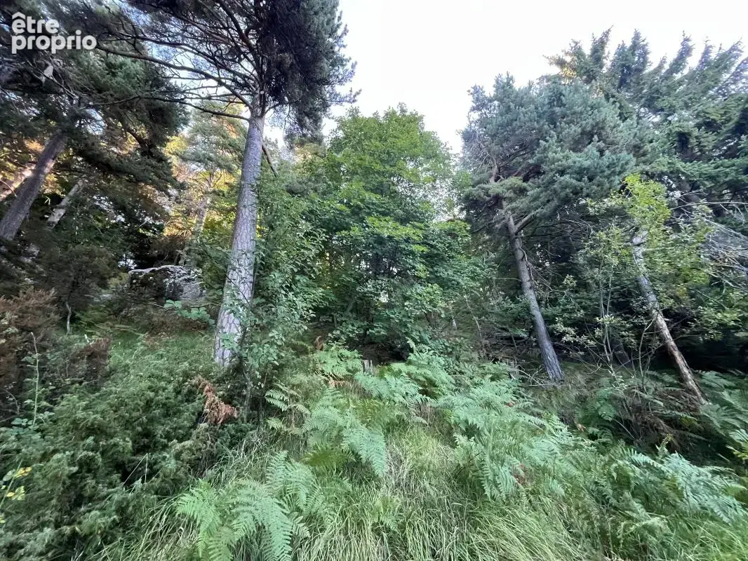 Terrain À Vendre 2.285 m² - photo 4